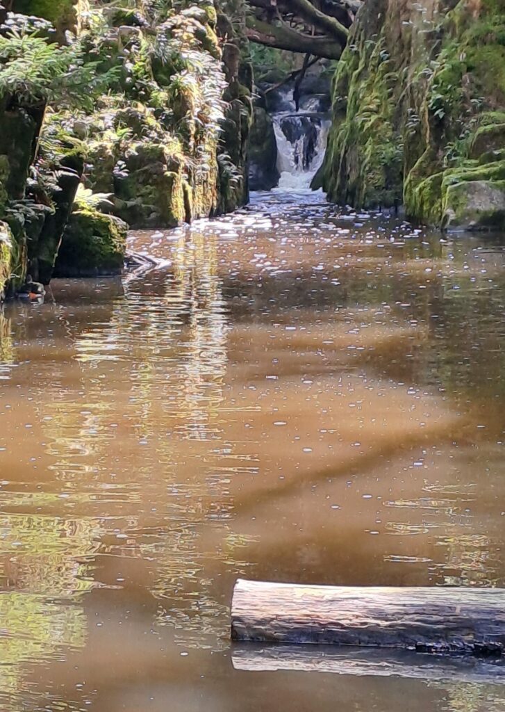 Domů 20250817 121225